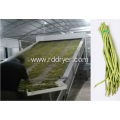 Fruit and vegetable continuous belt drying equipment